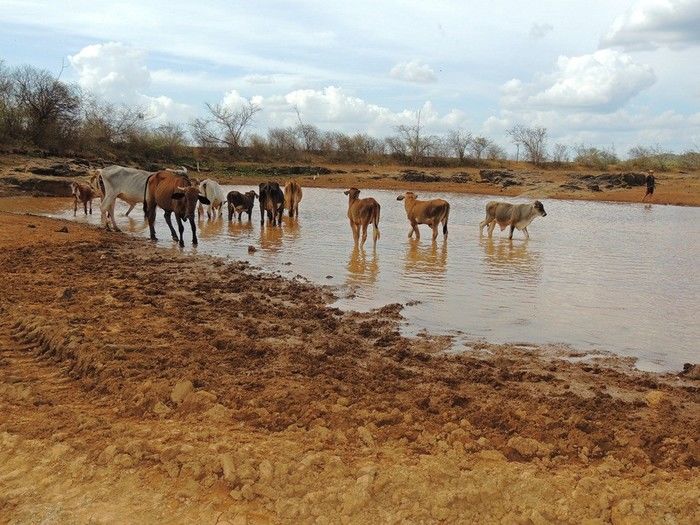 Prefeitura amplia e aprofunda bacia da barragem da comunidade São João - Imagem 5