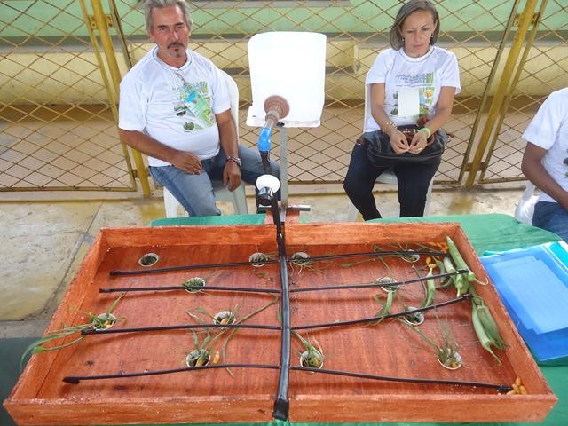 Ipiranga sediou a I Feira Territorial da Agricultura Familiar do Vale do Sambito - Imagem 107