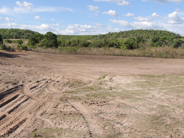                          Patrulha mecanizada revoluciona agricultura familiar - Imagem 7