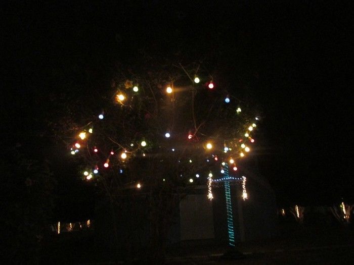 Prefeito Deixa a Cidade em Clima de NATAL - Imagem 5