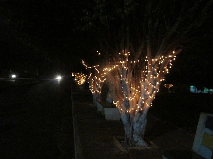 Prefeito Deixa a Cidade em Clima de NATAL - Imagem 2