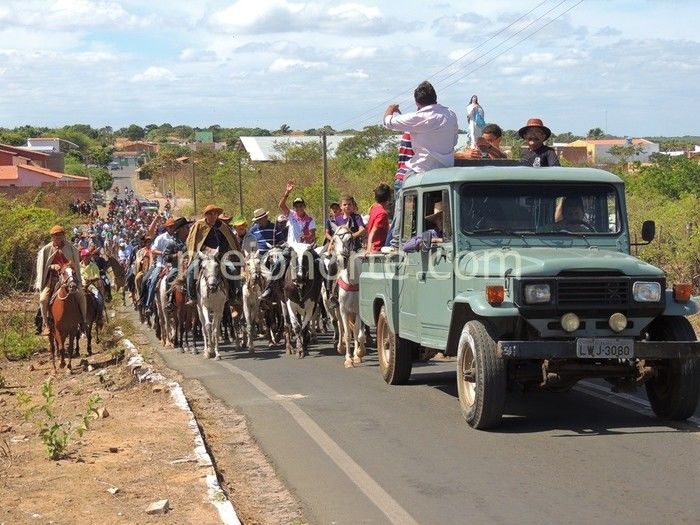 Vaqueiros invadem ruas e avenidas de Pedro II  - Imagem 27
