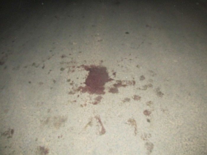 Acidente de Moto no Bairro Baixa deixa uma Pessoa Gravemente Ferida   - Imagem 4