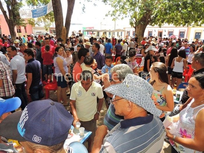 Vaqueiros invadem ruas e avenidas de Pedro II  - Imagem 41