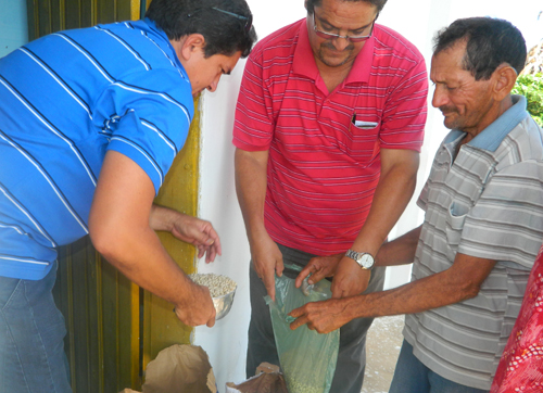 Prefeitura começa a distribuição de sementes para agricultores de Brasileira