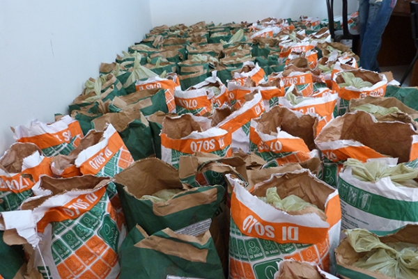 Prefeitura de Cocal entrega duas toneladas de sementes de feijão e milho para agricultores - Imagem 1