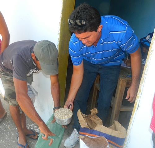 Prefeitura começa a distribuição de sementes para agricultores de Brasileira - Imagem 1