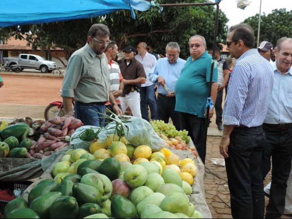 Governador Wilson Martins Inaugura obras de seu governo em Barra D“Alcântara - Imagem 11