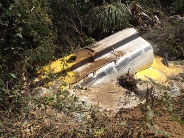 Caminhão com resíduos de óleo de soja tomba na BR 135 causando preocupação à moradores e órgãos ambientais  - Imagem 3
