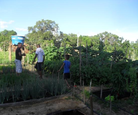 Projeto incentivado pelo EMATER de Elesbão Veloso é uma realidade - Imagem 4