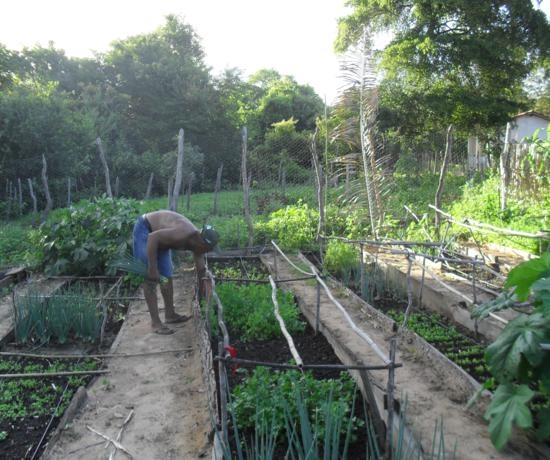 Projeto incentivado pelo EMATER de Elesbão Veloso é uma realidade - Imagem 9