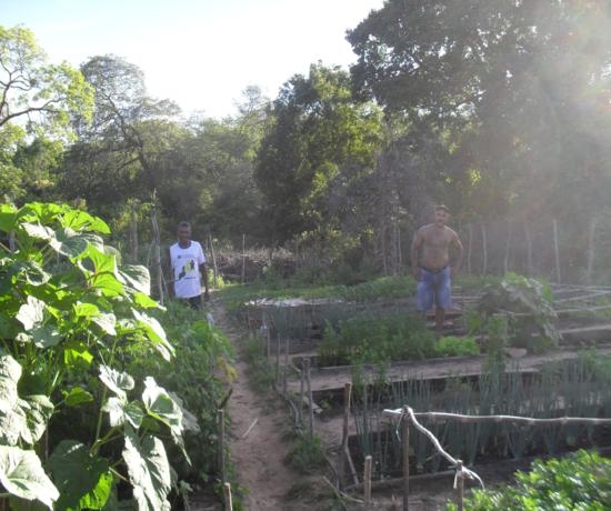 Projeto incentivado pelo EMATER de Elesbão Veloso é uma realidade - Imagem 7