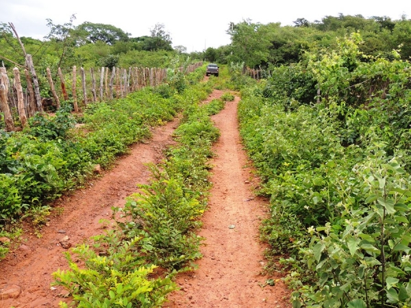 Gestão compartilhada da Prefeita Neuma Café é elogiada por moradores - Imagem 7
