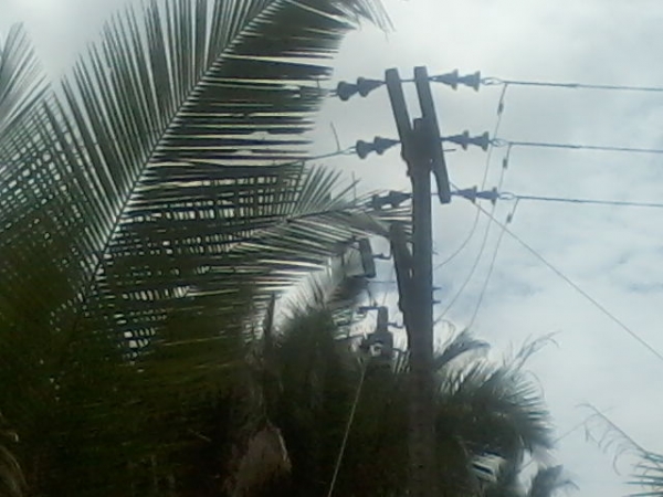 Presidente da Assocaiação de moradores da Lagoa do Canto e adjacentes  afirma que as comunidades irão organizar protesto contra a Eletrobras - Imagem 7