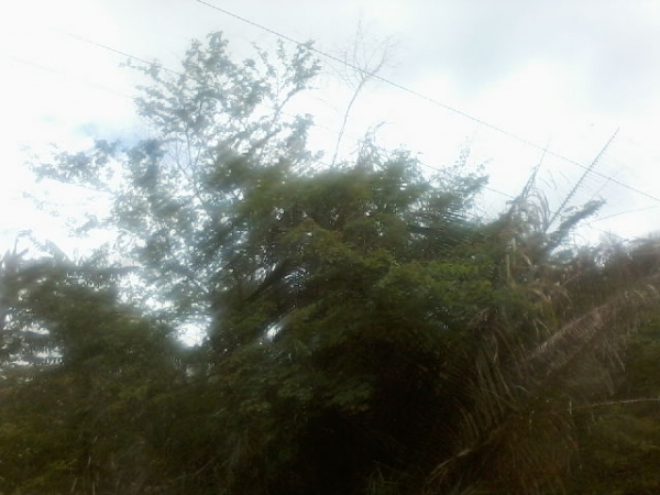 Presidente da Assocaiação de moradores da Lagoa do Canto e adjacentes  afirma que as comunidades irão organizar protesto contra a Eletrobras - Imagem 9