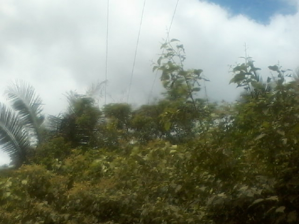 Presidente da Assocaiação de moradores da Lagoa do Canto e adjacentes  afirma que as comunidades irão organizar protesto contra a Eletrobras - Imagem 5