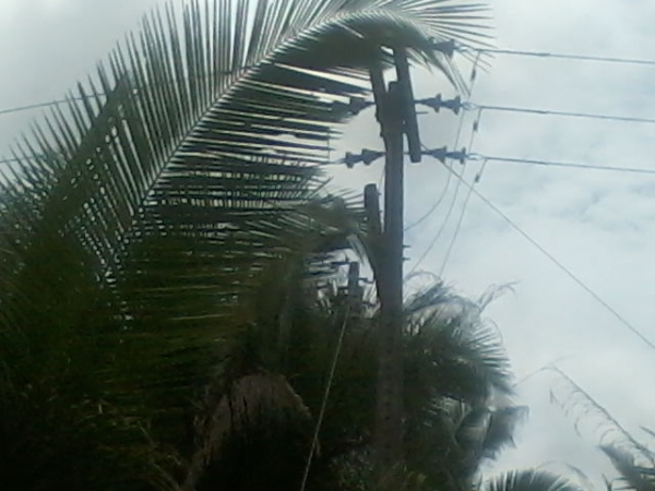 Presidente da Assocaiação de moradores da Lagoa do Canto e adjacentes  afirma que as comunidades irão organizar protesto contra a Eletrobras - Imagem 6