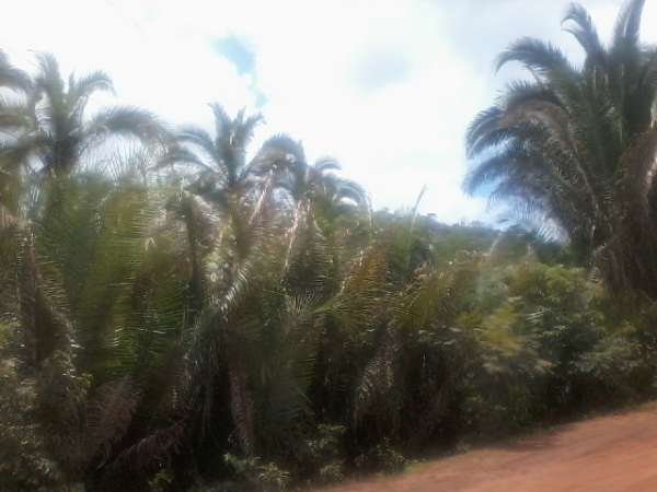 Presidente da Assocaiação de moradores da Lagoa do Canto e adjacentes  afirma que as comunidades irão organizar protesto contra a Eletrobras - Imagem 10