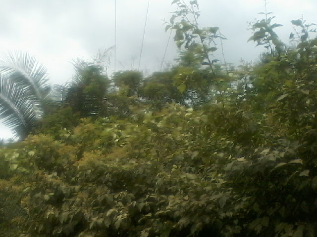 Presidente da Assocaiação de moradores da Lagoa do Canto e adjacentes  afirma que as comunidades irão organizar protesto contra a Eletrobras