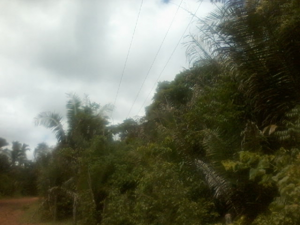 Presidente da Assocaiação de moradores da Lagoa do Canto e adjacentes  afirma que as comunidades irão organizar protesto contra a Eletrobras - Imagem 4