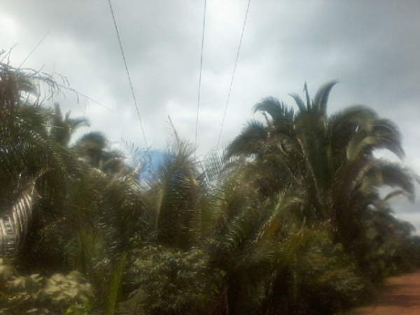 Presidente da Assocaiação de moradores da Lagoa do Canto e adjacentes  afirma que as comunidades irão organizar protesto contra a Eletrobras - Imagem 3