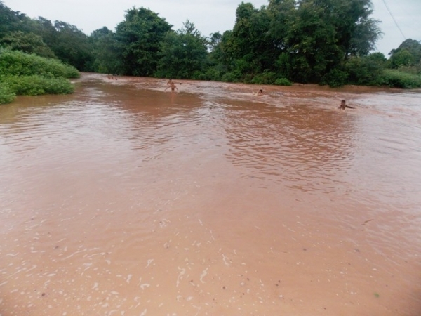 Jovens se arriscam ao tomar banho nas enchentes de riachos em Canavieira - Imagem 5