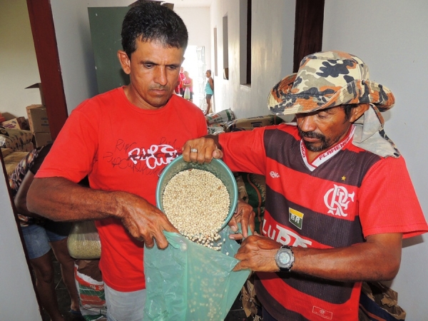 Prefeitura de Milton Brandão distribui sementes para agricultores - Imagem 3