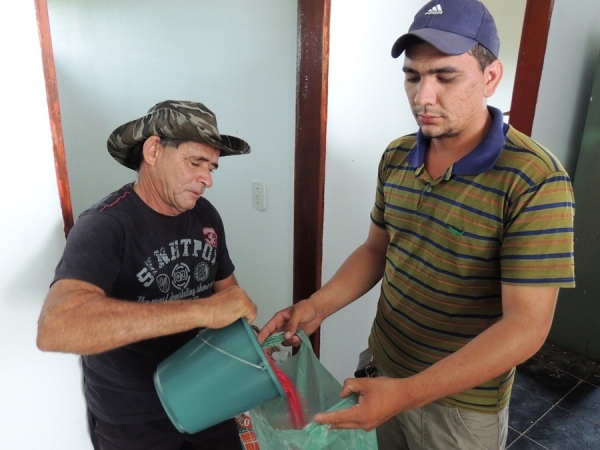 Prefeitura de Milton Brandão distribui sementes para agricultores - Imagem 1