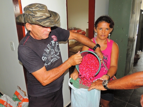 Prefeitura de Milton Brandão distribui sementes para agricultores - Imagem 6