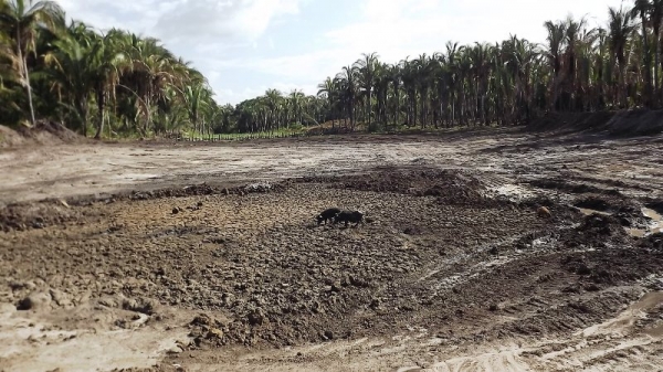  Prefeitura recupera açude assoreado na Comunidade Santa Maria - Imagem 8
