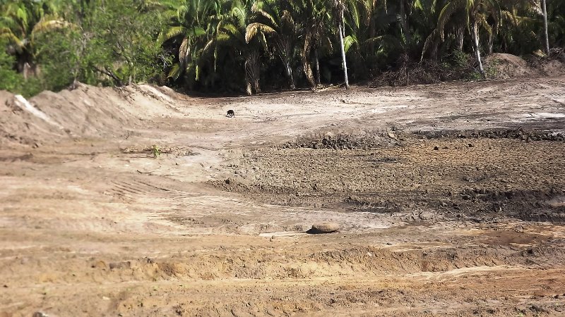  Prefeitura recupera açude assoreado na Comunidade Santa Maria