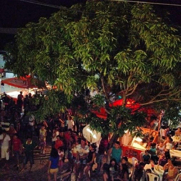 Zé Pereira animou pré-carnaval de Barro Duro-Pi - Imagem 4
