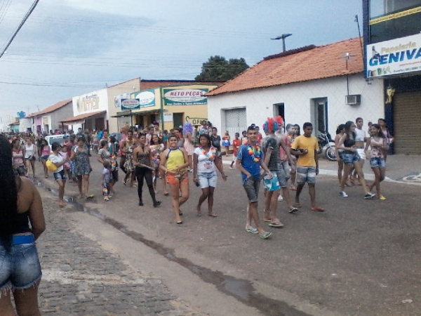 Fotos do corso do “Zé Pereira” de São Pedro do Piauí. - Imagem 3