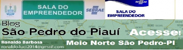 Fotos do corso do “Zé Pereira” de São Pedro do Piauí. - Imagem 31