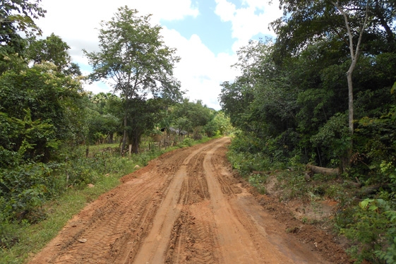 Prefeita Claudia lobo iniciou  Recuperação das  estrada do Para  Batins - Imagem 29