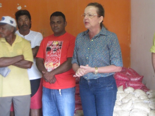 Sementes são entregues aos agricultores do município de Miguel Alves   - Imagem 4