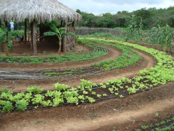 Prefeito Edgar acompanha visita técnica de projeto em Santa Rosa do Piauí - Imagem 3
