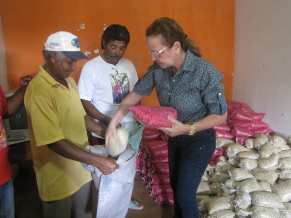Sementes são entregues aos agricultores do município de Miguel Alves   - Imagem 2