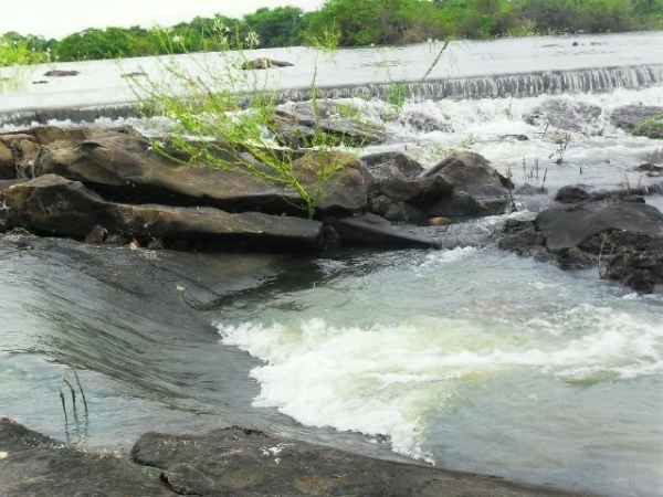 Carnaval de Barras no Bloco Dinamite...“EU VOU!”  - Imagem 7