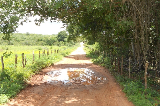 Prefeita Claudia lobo iniciou  Recuperação das  estrada do Para  Batins - Imagem 17