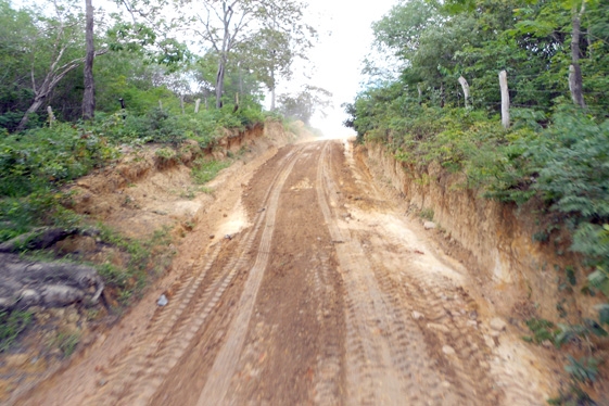 Prefeita Claudia lobo iniciou  Recuperação das  estrada do Para  Batins - Imagem 19