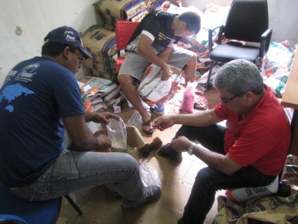 Sementes são entregues aos agricultores do município de Miguel Alves   - Imagem 7