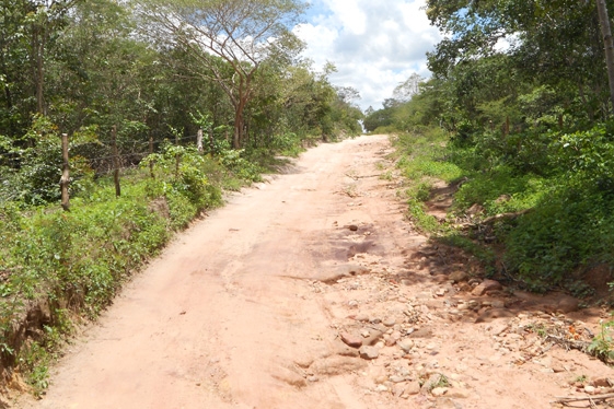 Prefeita Claudia lobo iniciou  Recuperação das  estrada do Para  Batins - Imagem 16