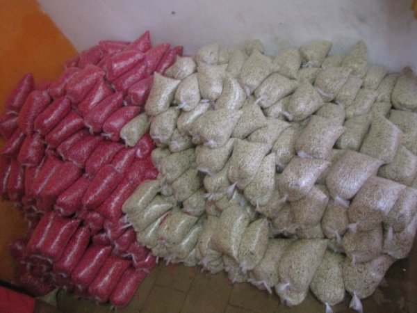 Sementes são entregues aos agricultores do município de Miguel Alves   - Imagem 8