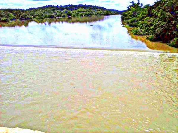 Carnaval de Barras no Bloco Dinamite...“EU VOU!”  - Imagem 6