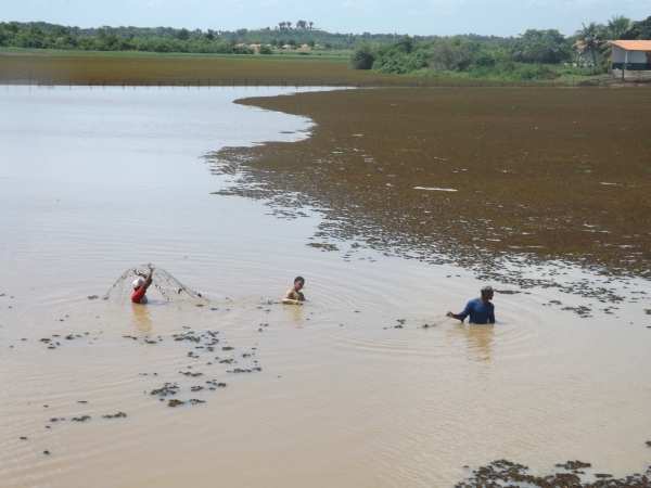 Prefeitura Inicia Limpeza da Lagoa - Imagem 1