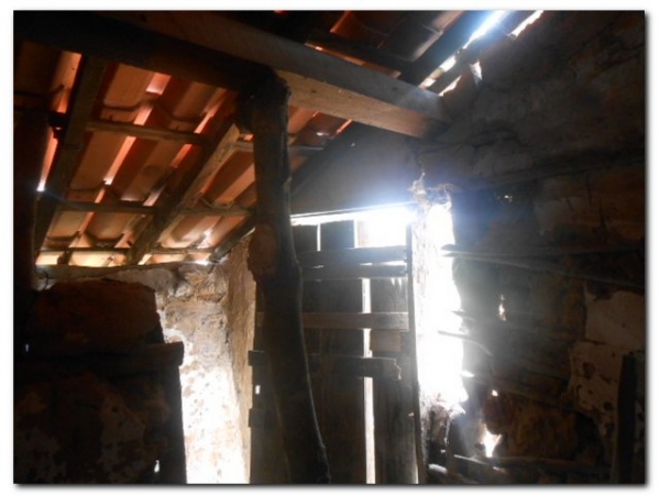 Marinete Simão da Silva vive com dois filhos e três netos em condições Subumanas - Imagem 6