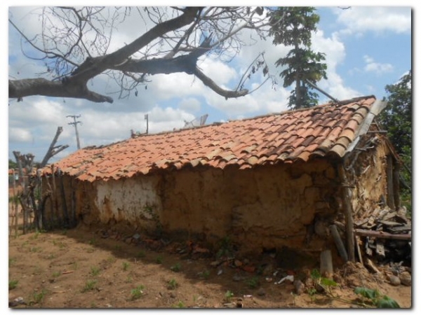 Marinete Simão da Silva vive com dois filhos e três netos em condições Subumanas - Imagem 14