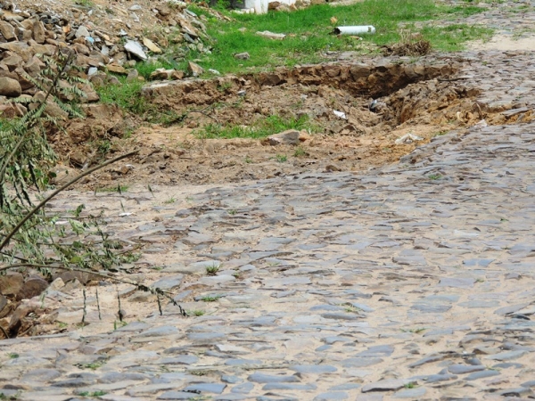 Povão invade Pedro II para brincar o melhor carnaval do Piauí - Imagem 11