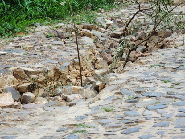 Povão invade Pedro II para brincar o melhor carnaval do Piauí - Imagem 10